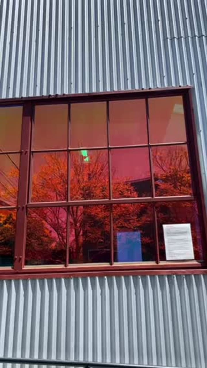 Third Culture Bakery Berkeley