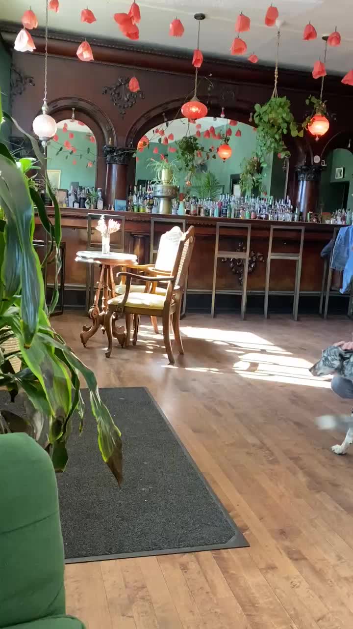 Video review of Fort Greene