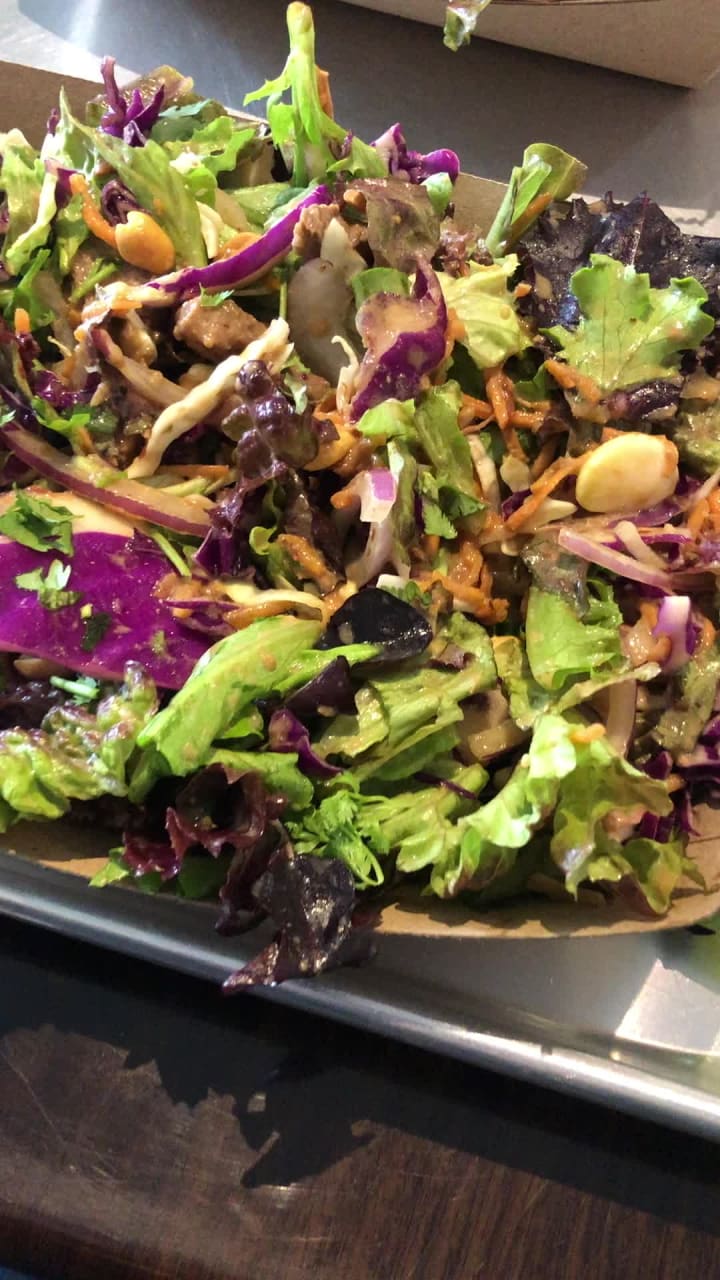 The Living Tree Live Foods Salad Bar