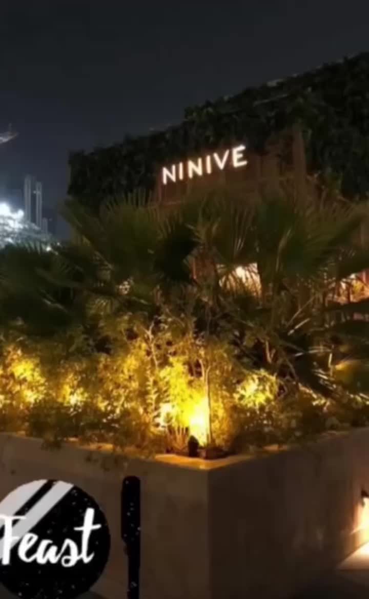 Video review of Ninive