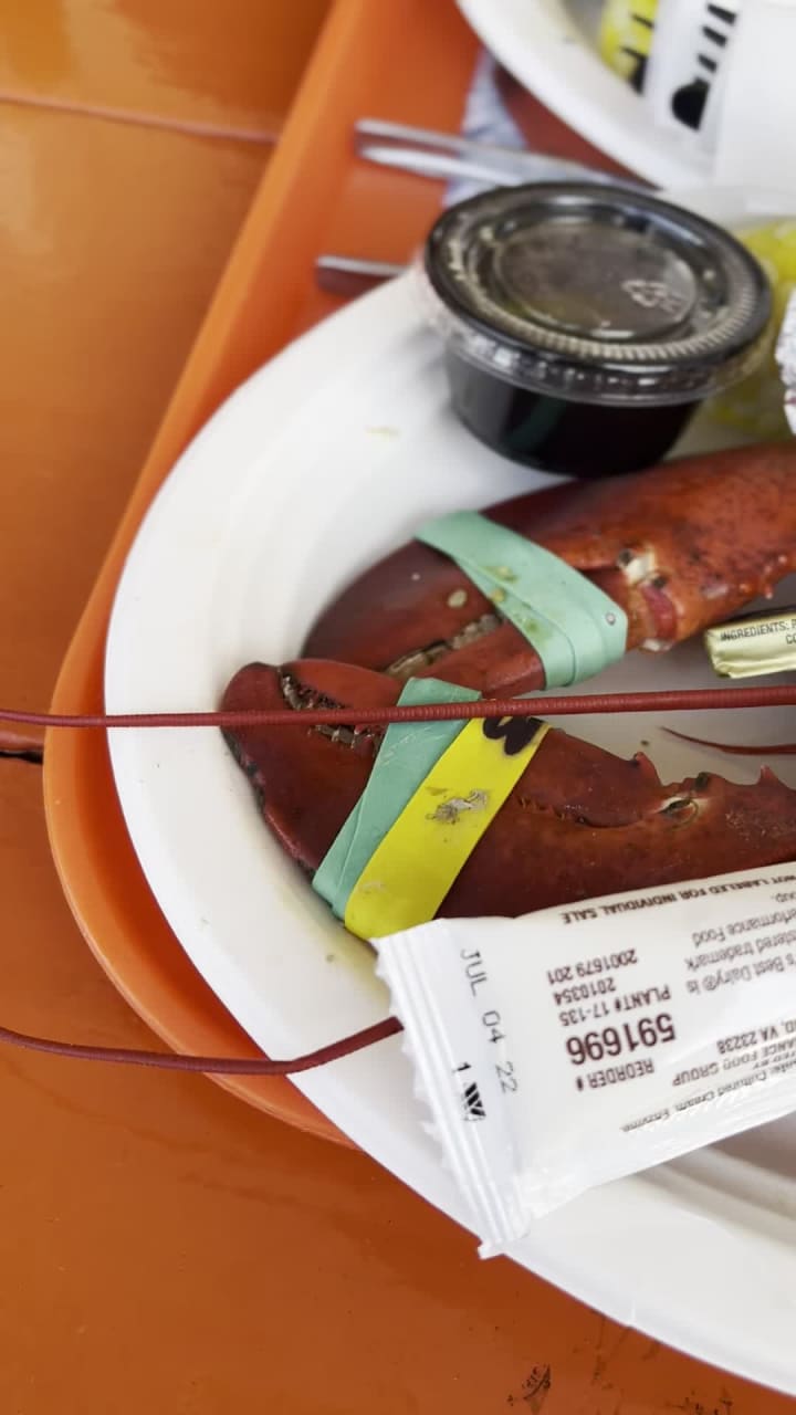 Video review of Portland Lobster Company