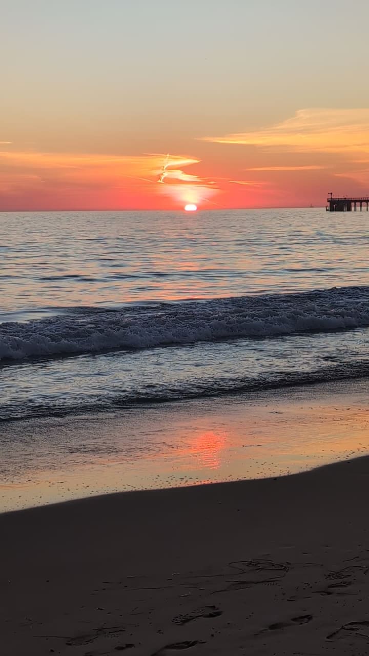 Video review of Haskell's Beach