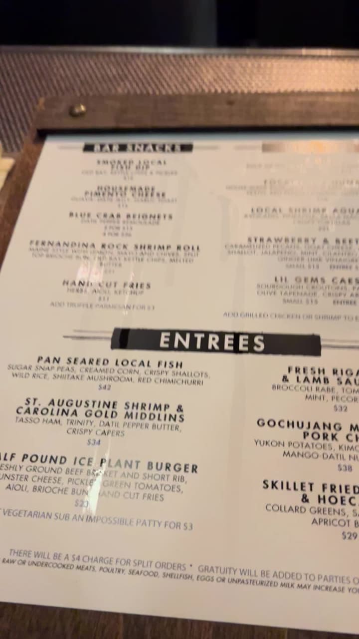 Video review of The Ice Plant