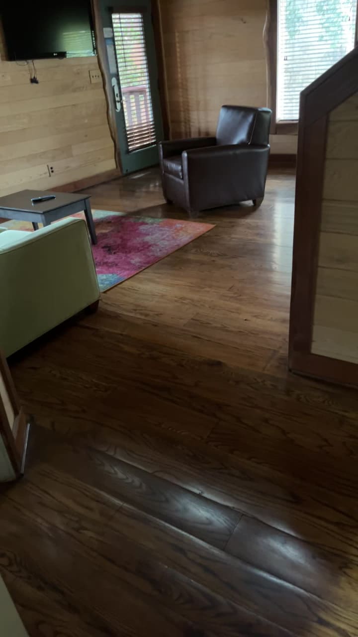 Treehaus Luxury Suites