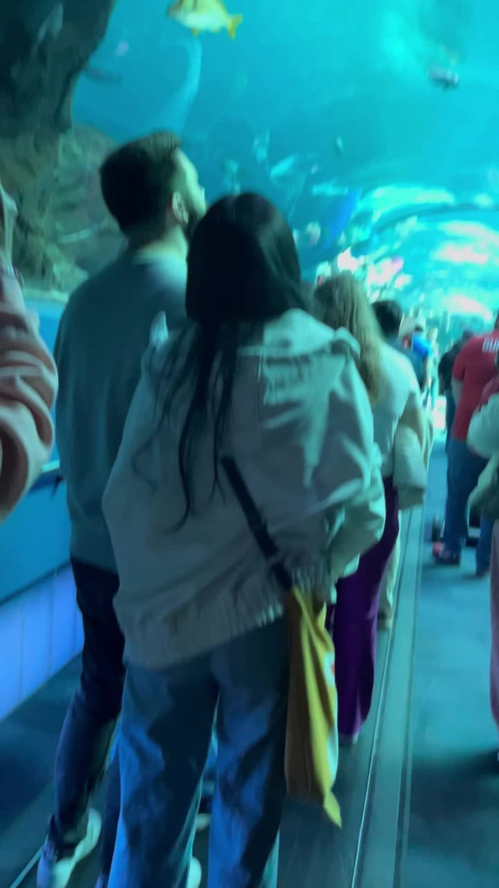 Georgia Aquarium
