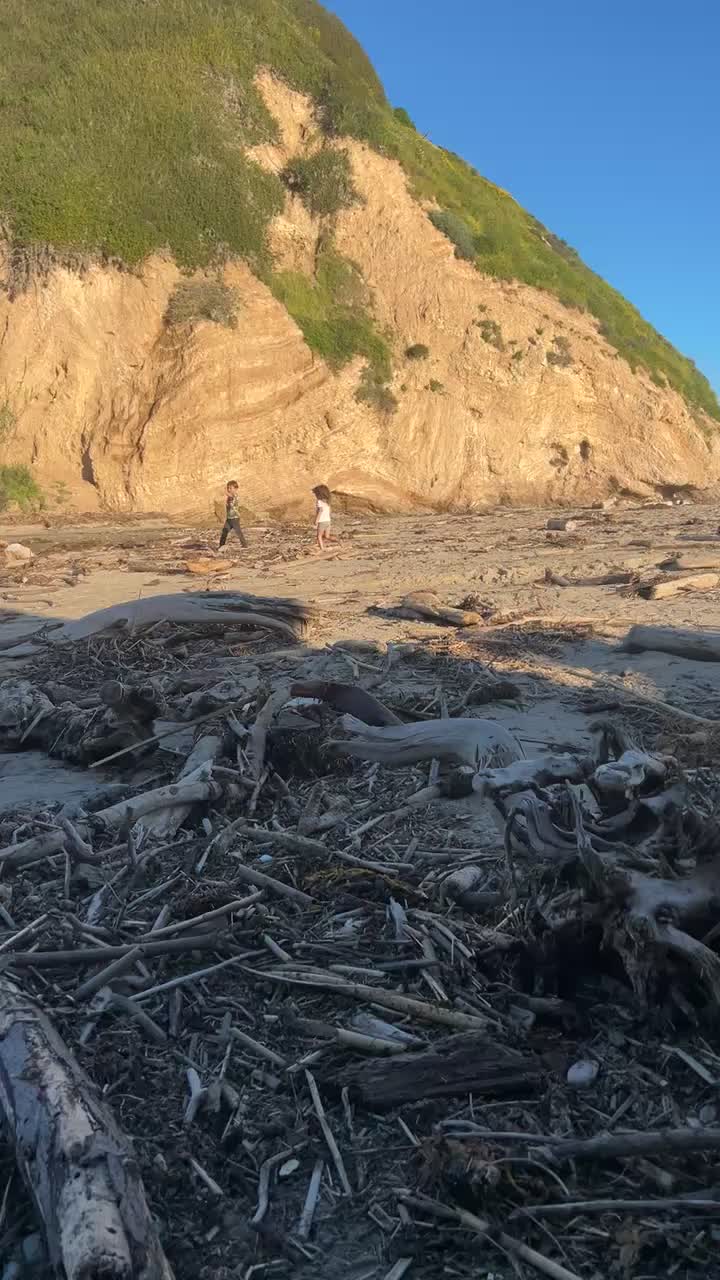 Video review of East Beach Tacos