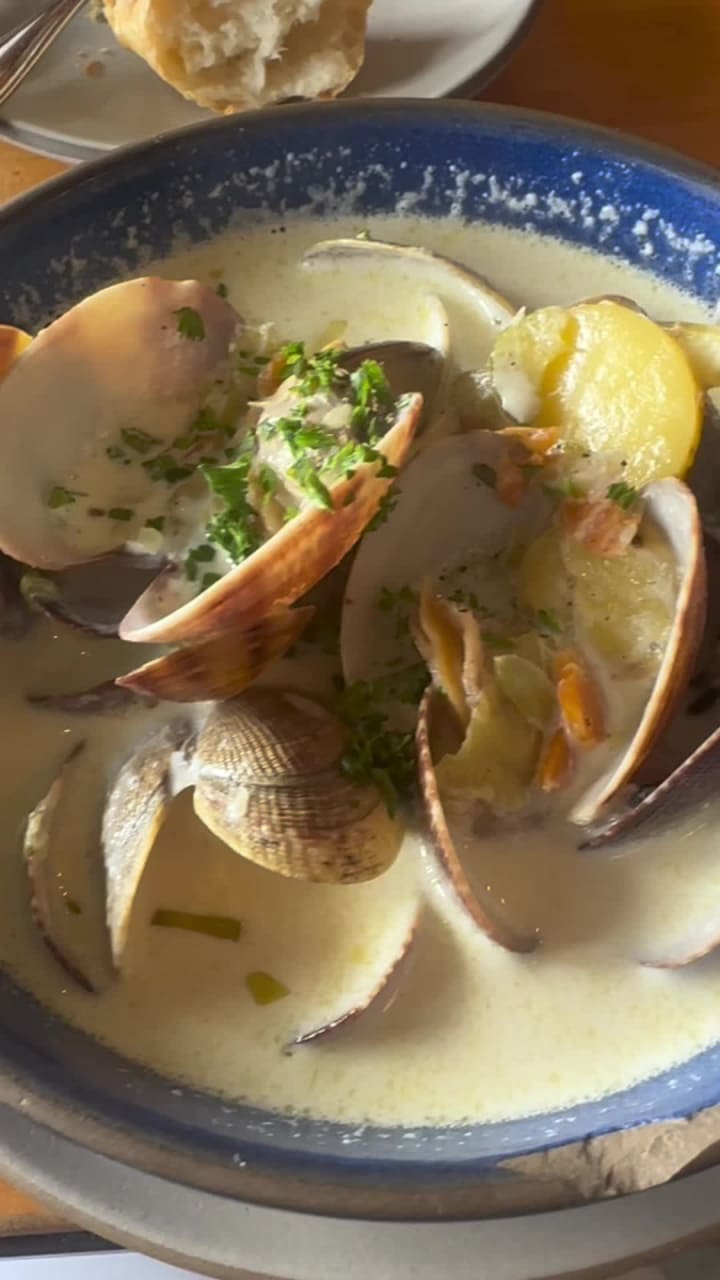 Video review of Hog Island Oyster Co.