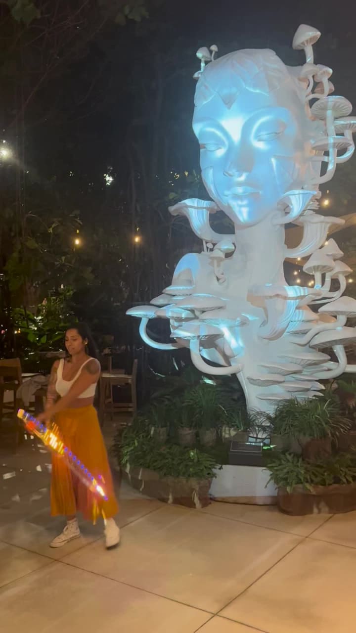 Video review of Plnthouse