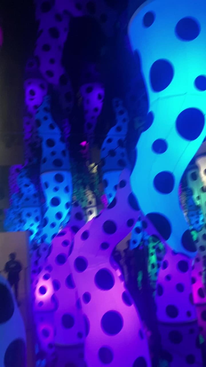 Pérez Art Museum Miami