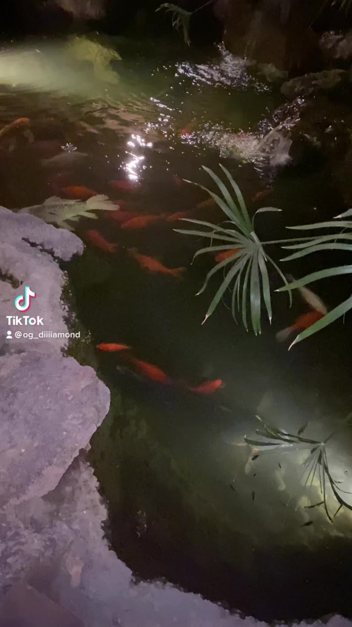 Video review of Billy Reed's Restaurant Bakery & Bar