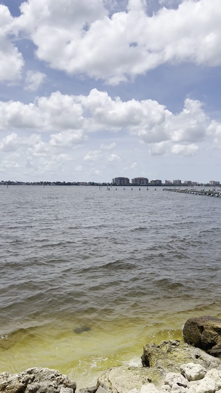 Video review of Boat House Tiki Bar & Grill