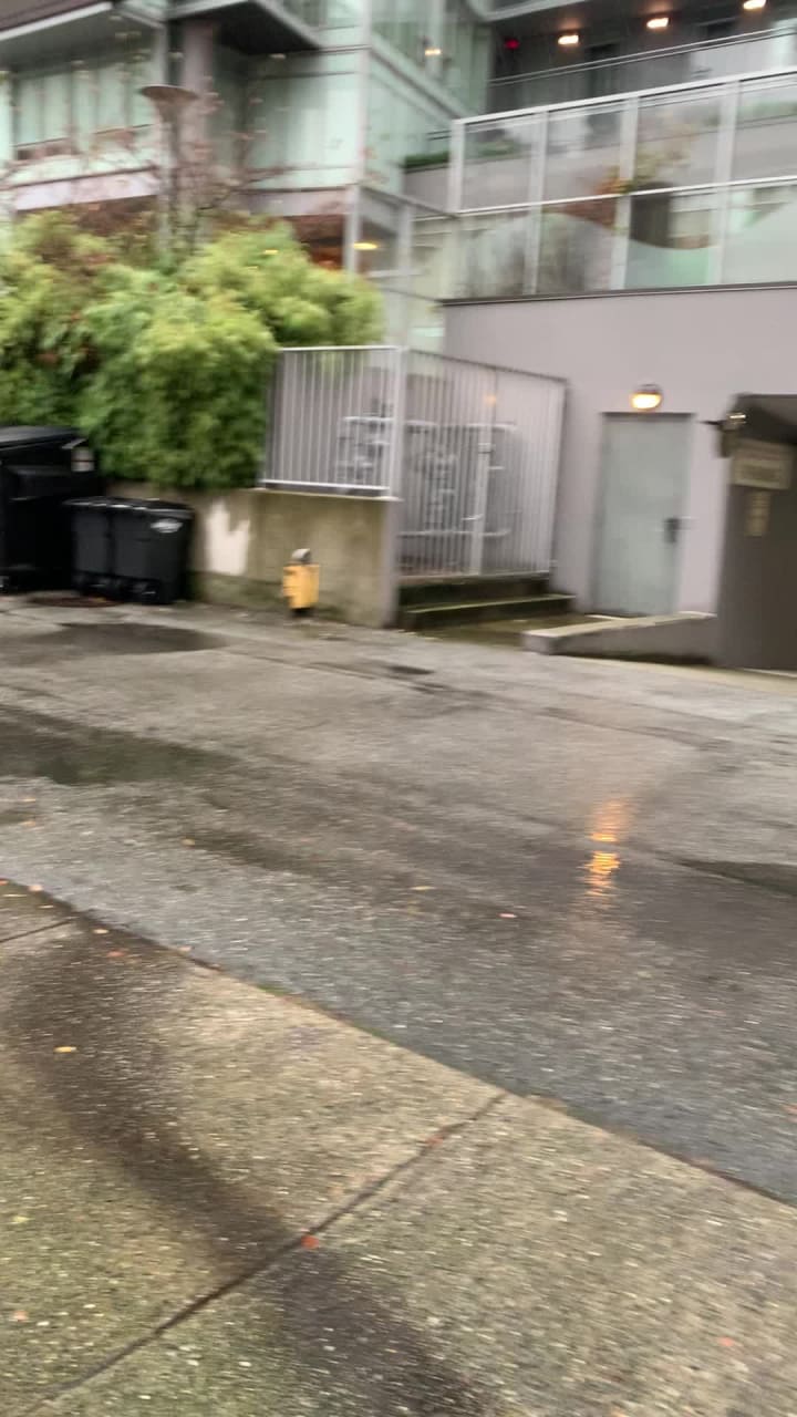 Video review of English Bay Beach