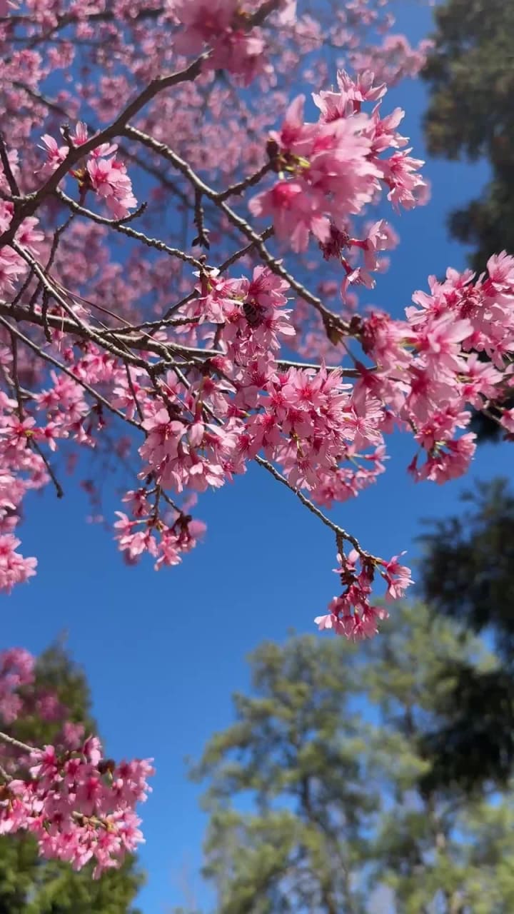 Lewis Ginter Botanical Garden