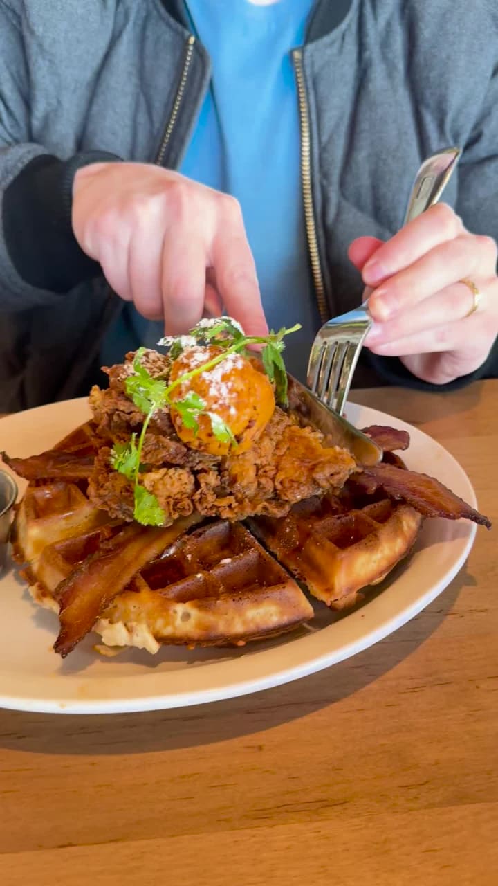 Video review of HashTAG