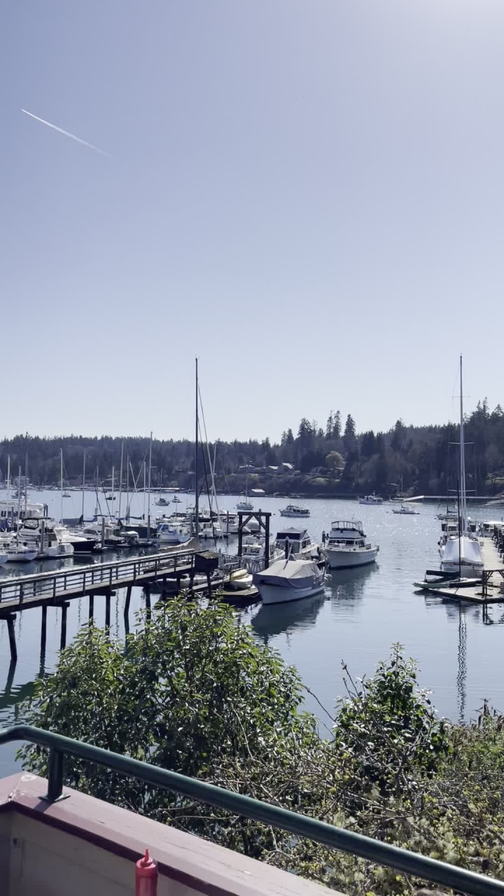 Video review of Harbour Public House