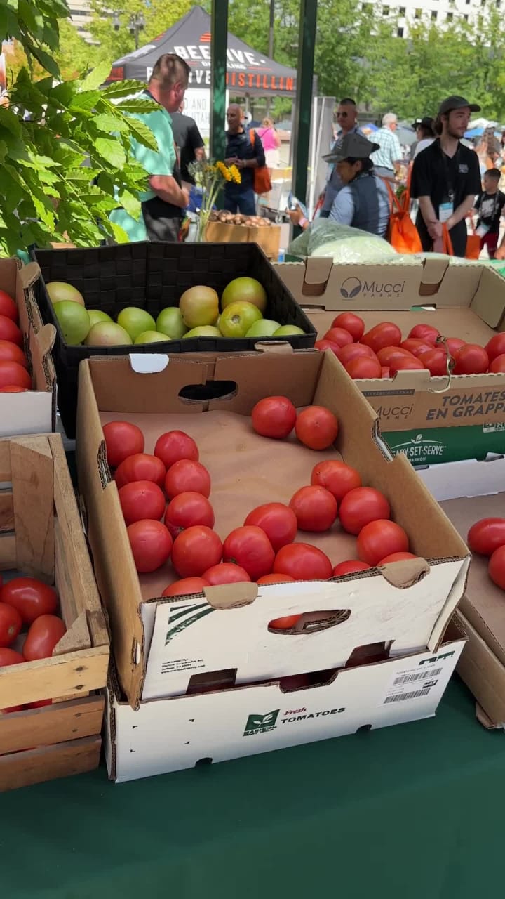 Video review of The Gallivan Center