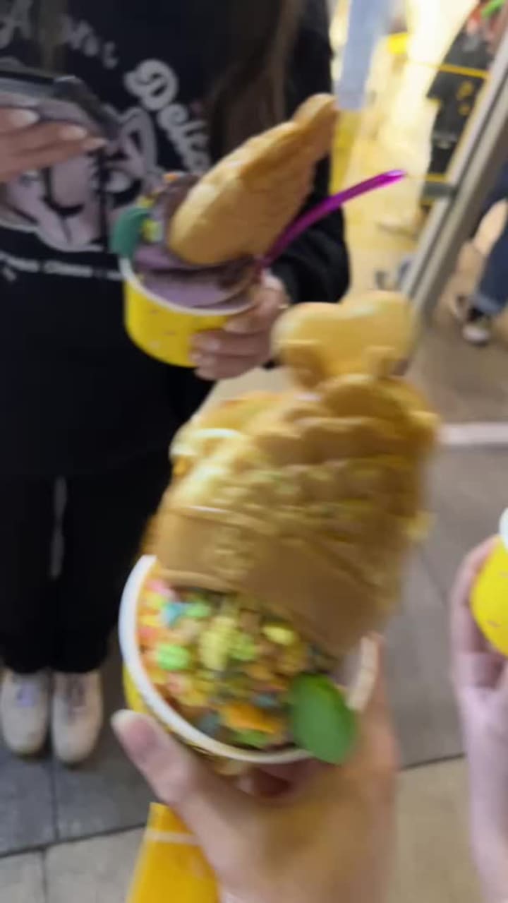 Video review of Somisomi