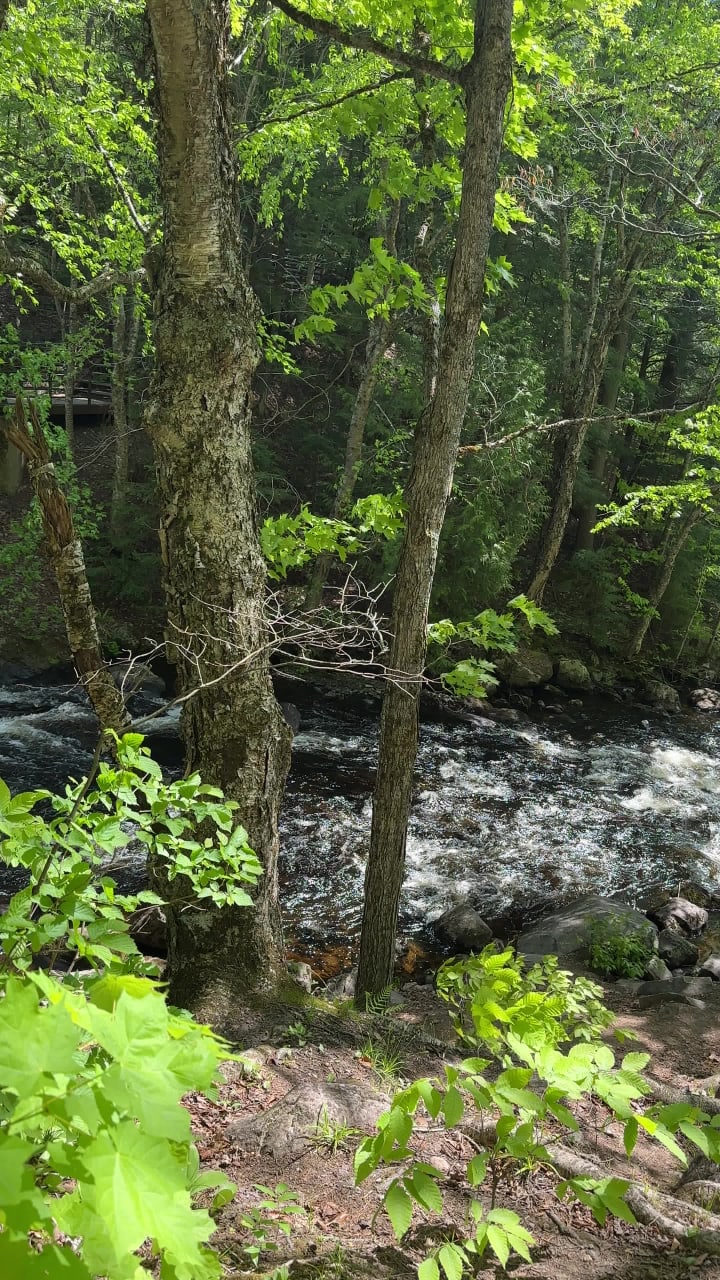 Algonquin Provincial Park - West Gate