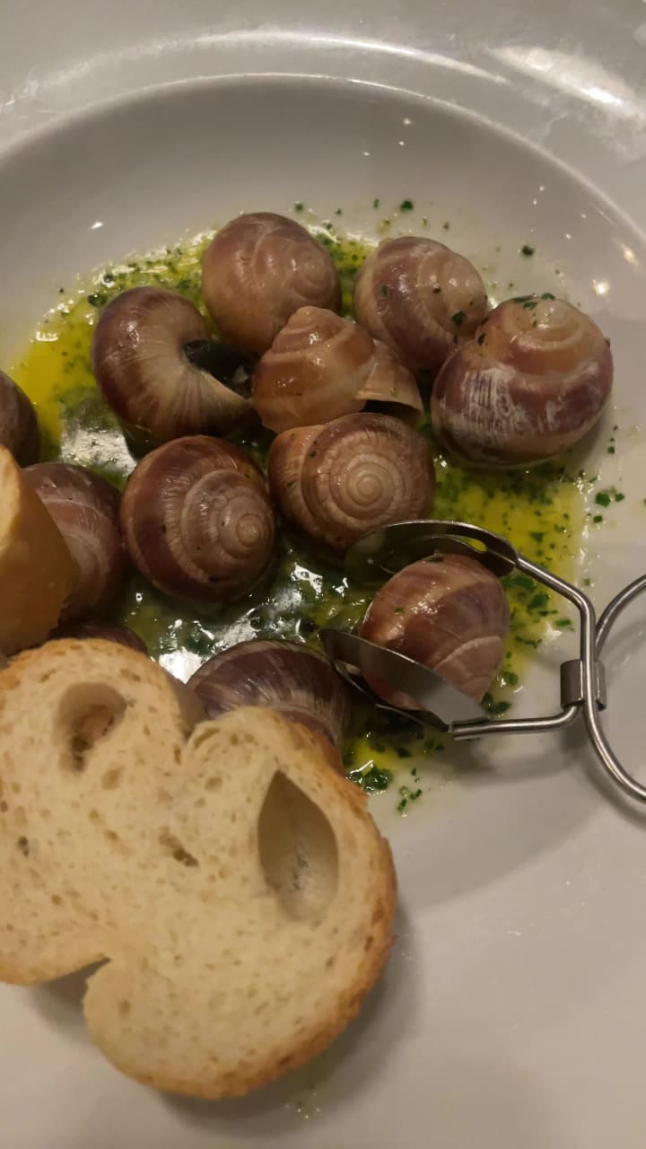 Video review of The Little Snail