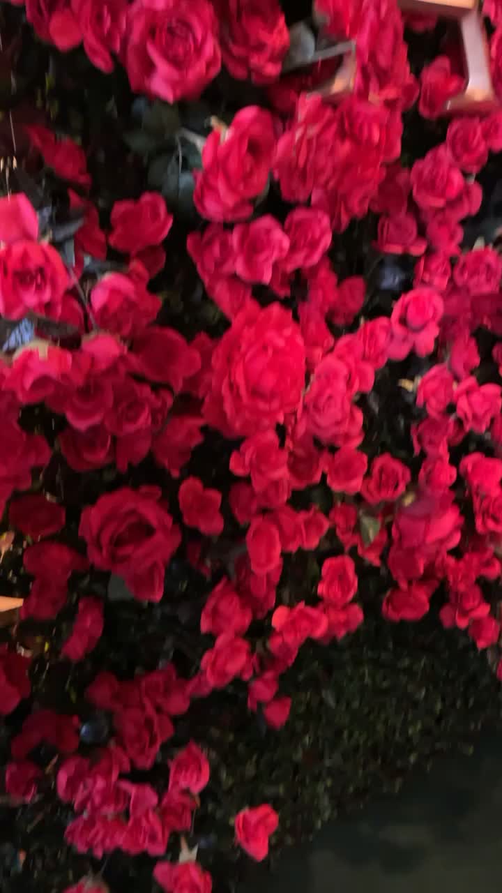 Siam Nara Thai Cuisine