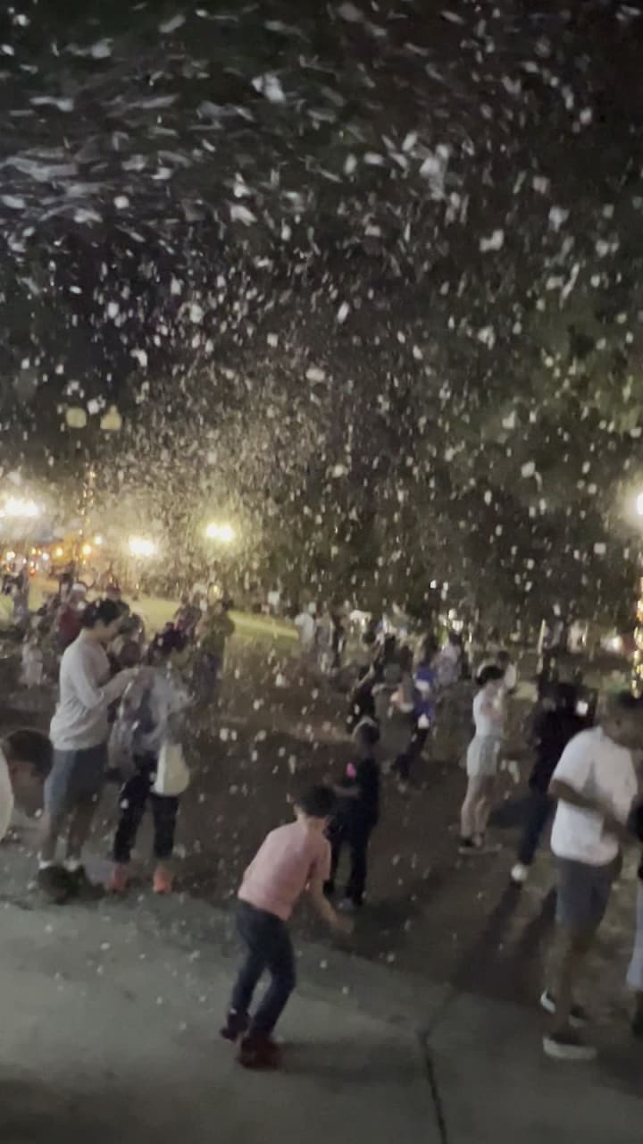 Video review of Lake Eola Park