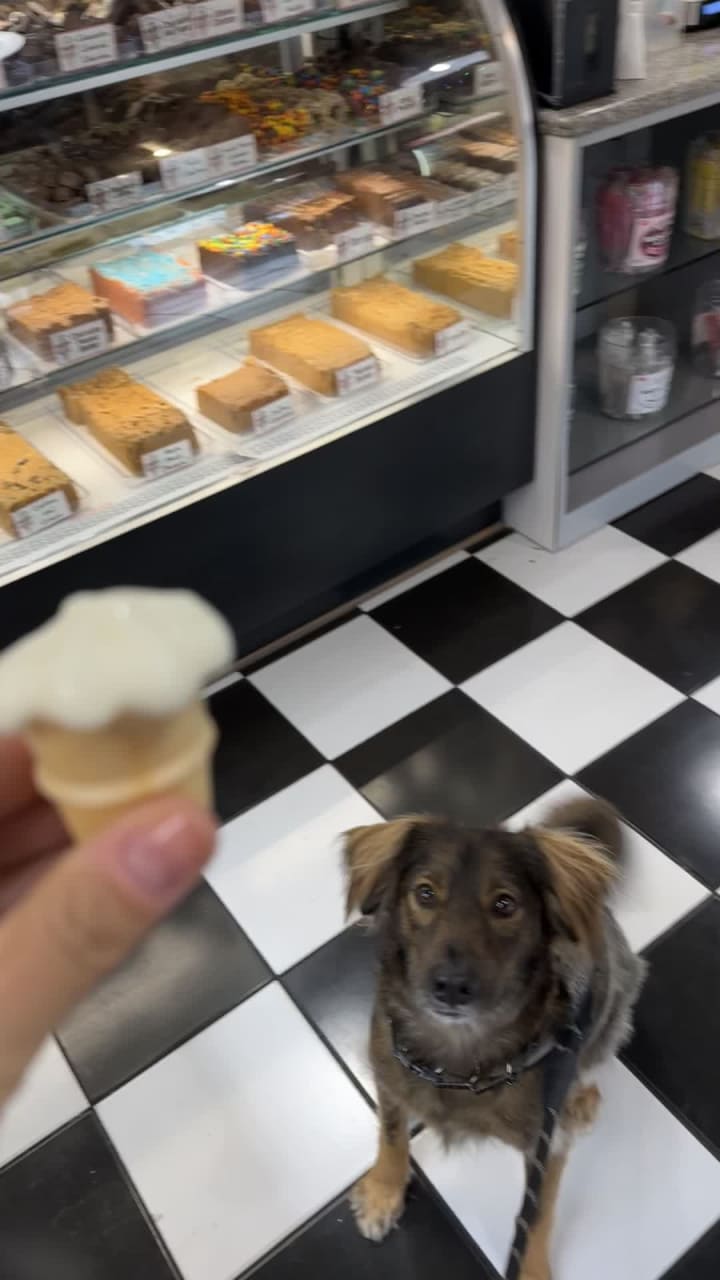 Hellas Greek Restaurant