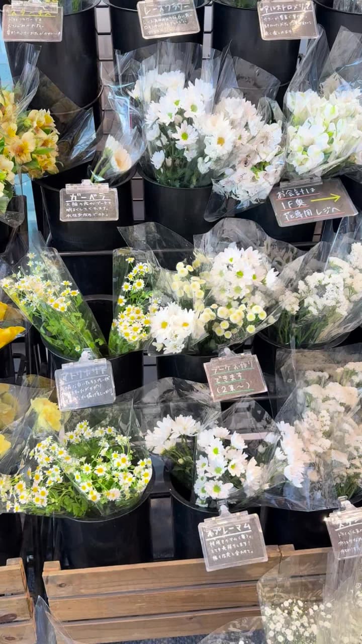 Video review of UNIQLO (ユニクロ)