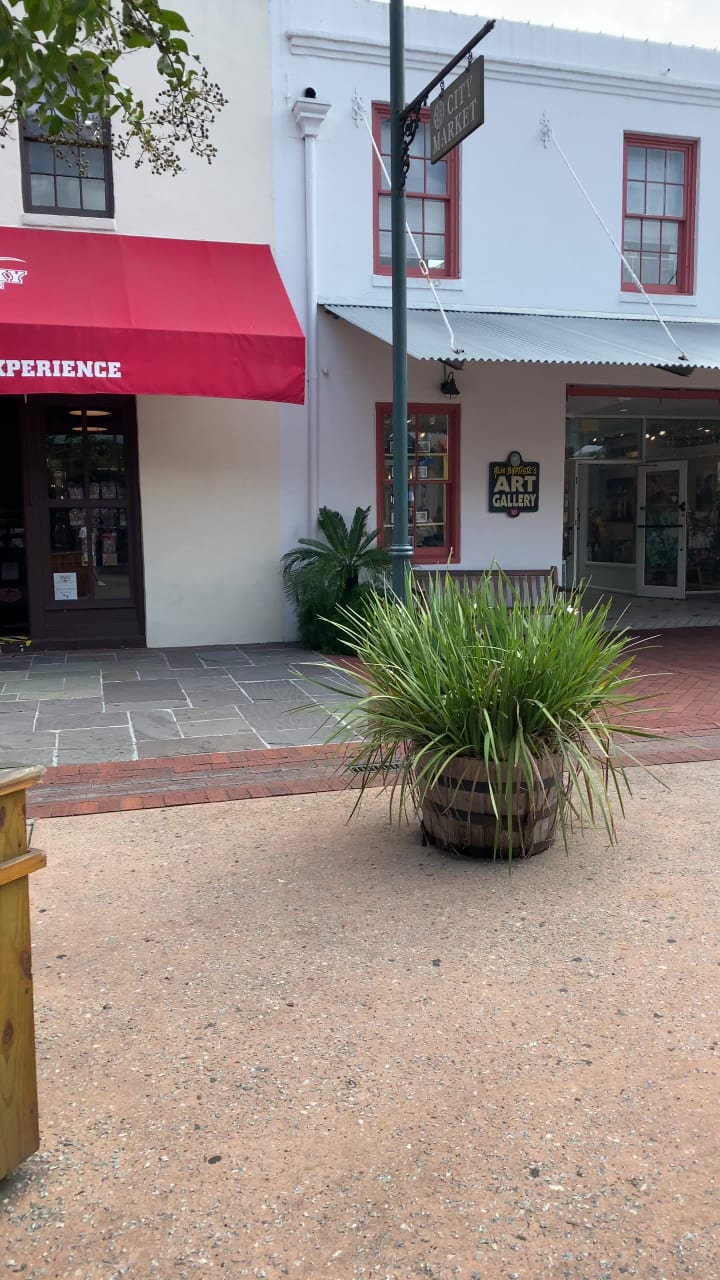 Video review of City Market Savannah