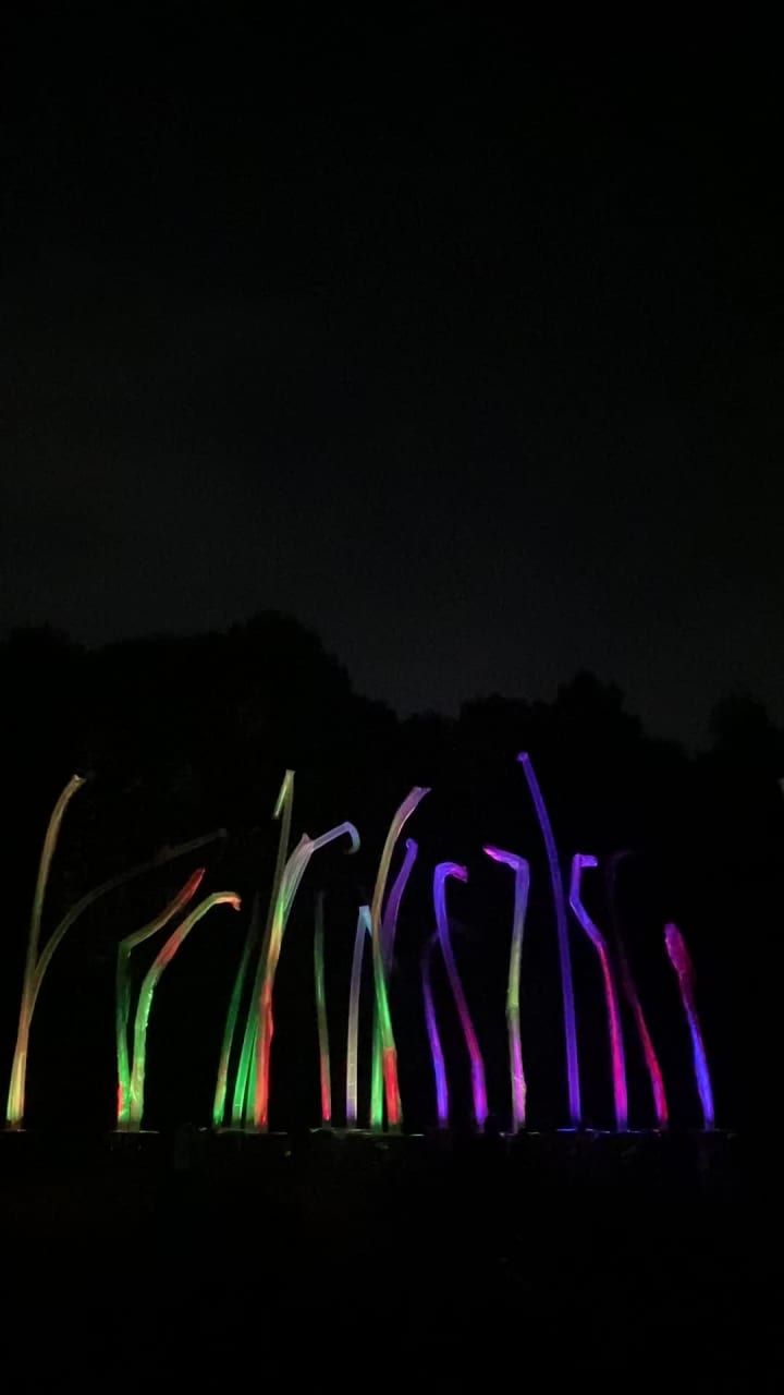 teamLab Botanical Garden Osaka