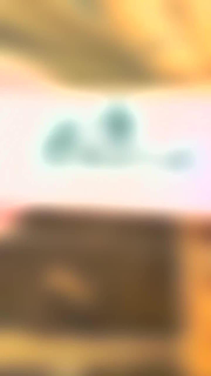 Beryl by sizzling bukhara- restaurant and bakery