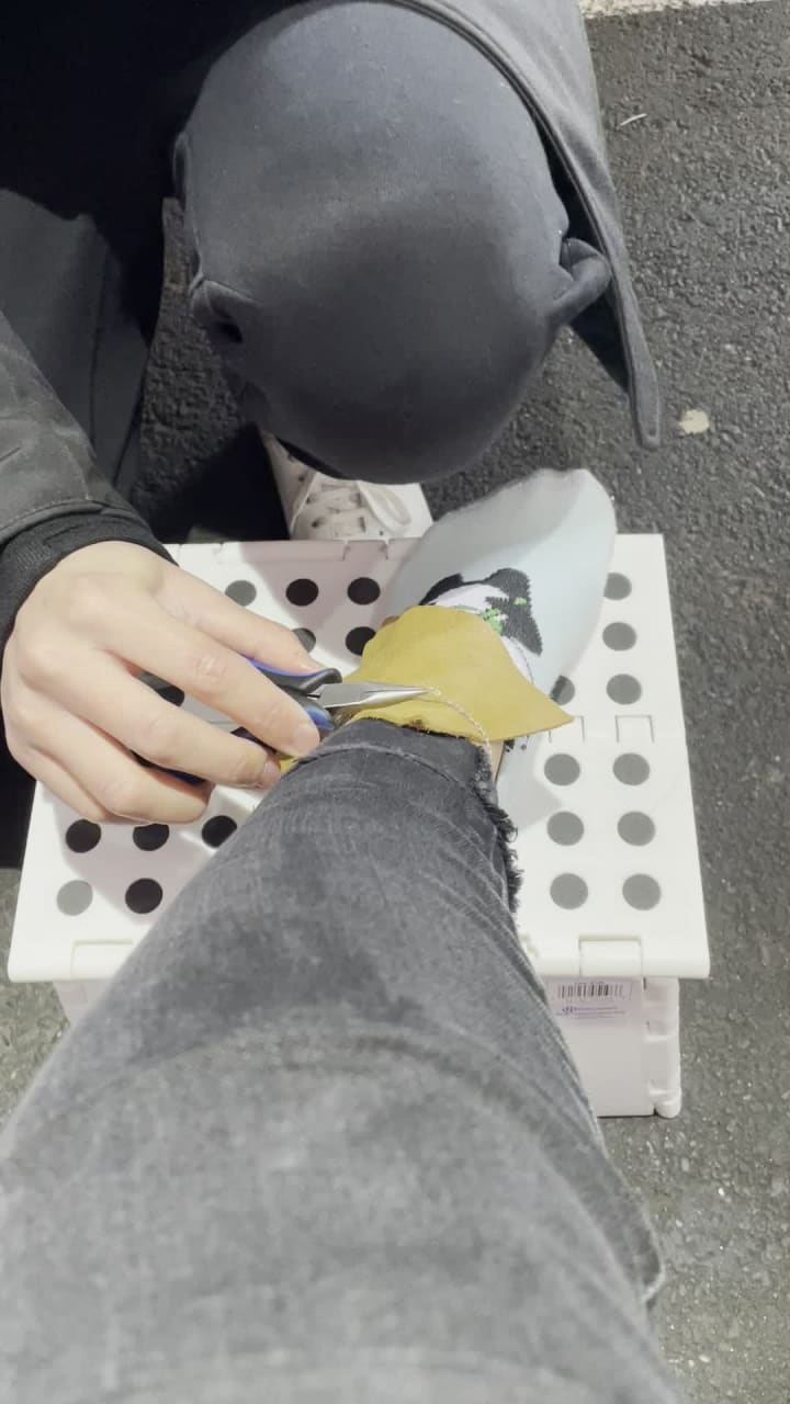 Video review of Fremont Sunday Market