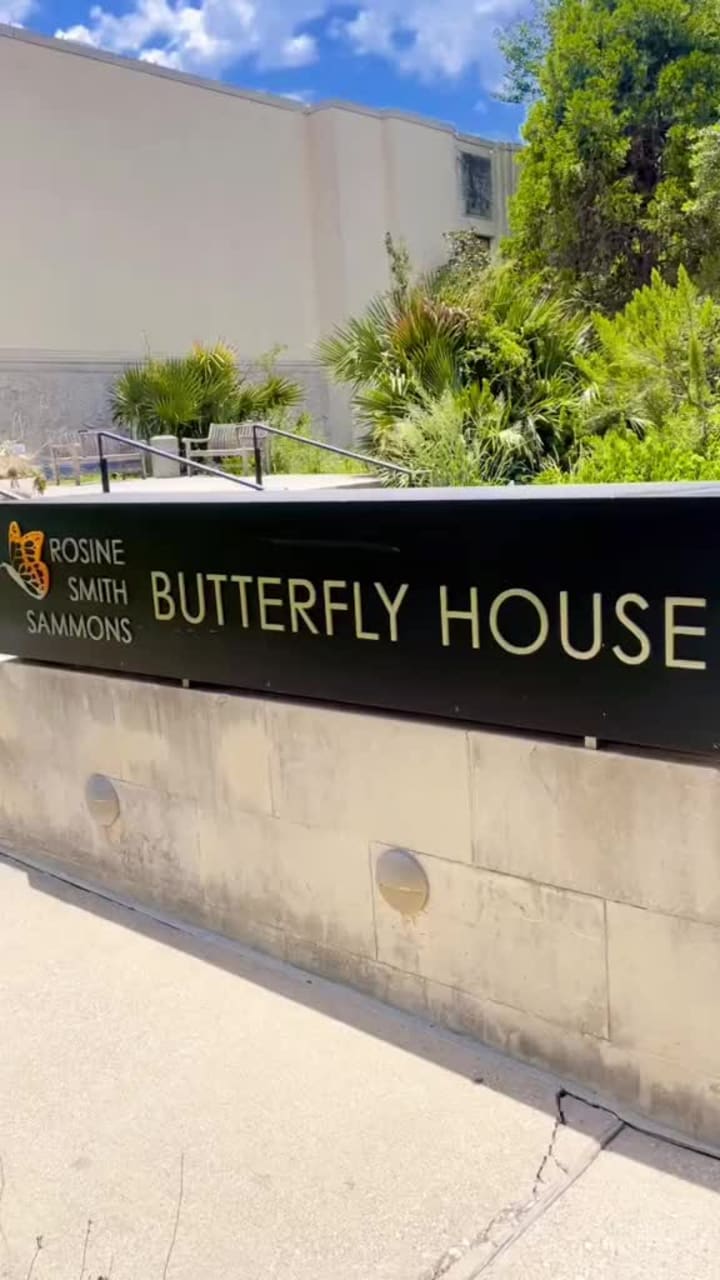 Video review of Texas Discovery Gardens