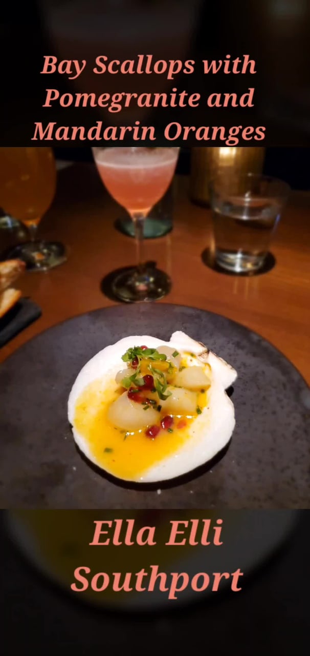 Video review of Ella Elli