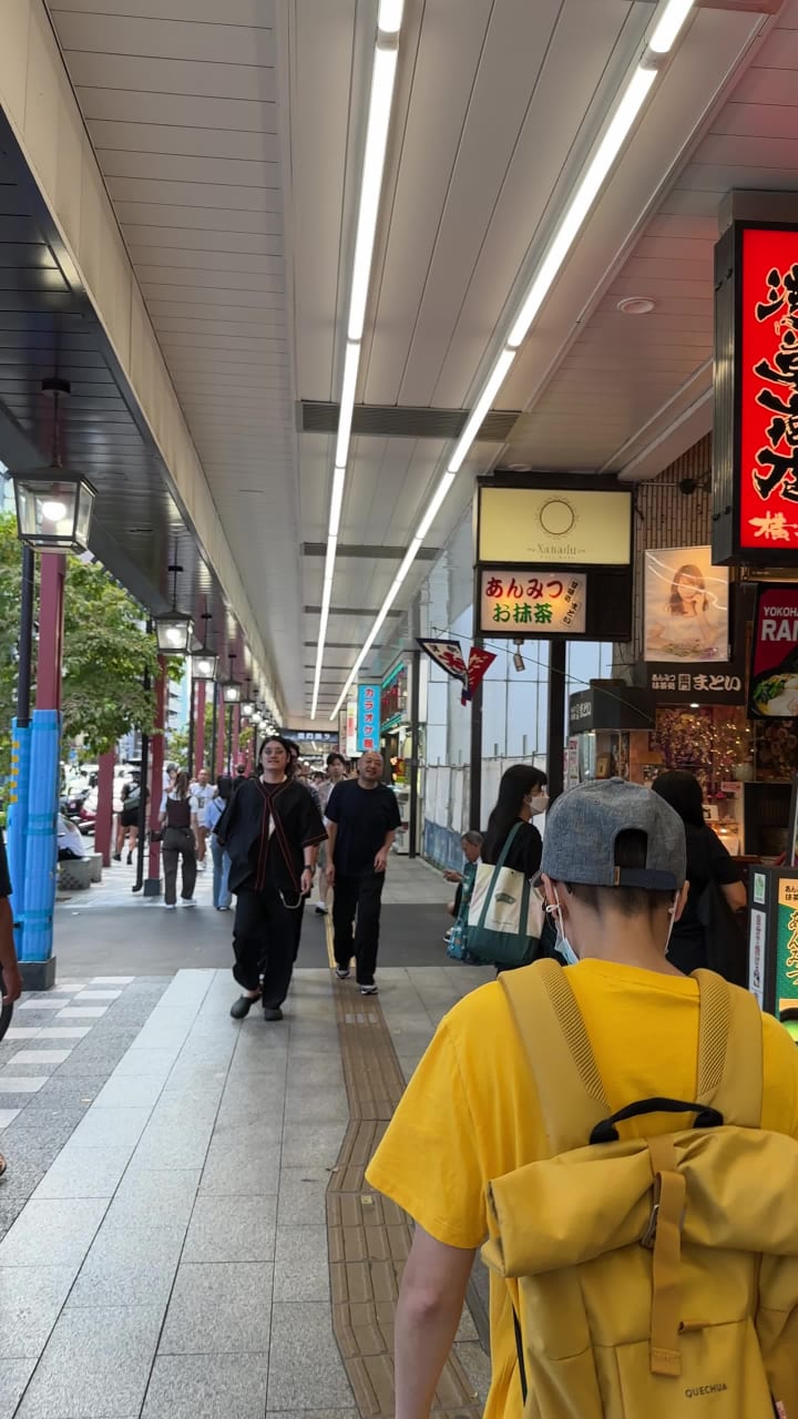 Video review of Kaminarimon Gate (雷門)