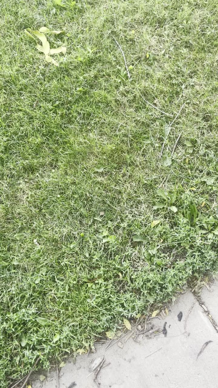 Video review of Palmer Square Park