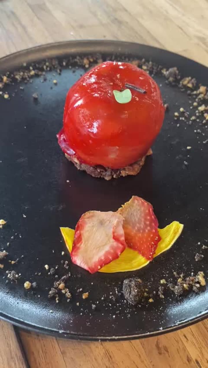 Video review of Sushigozen