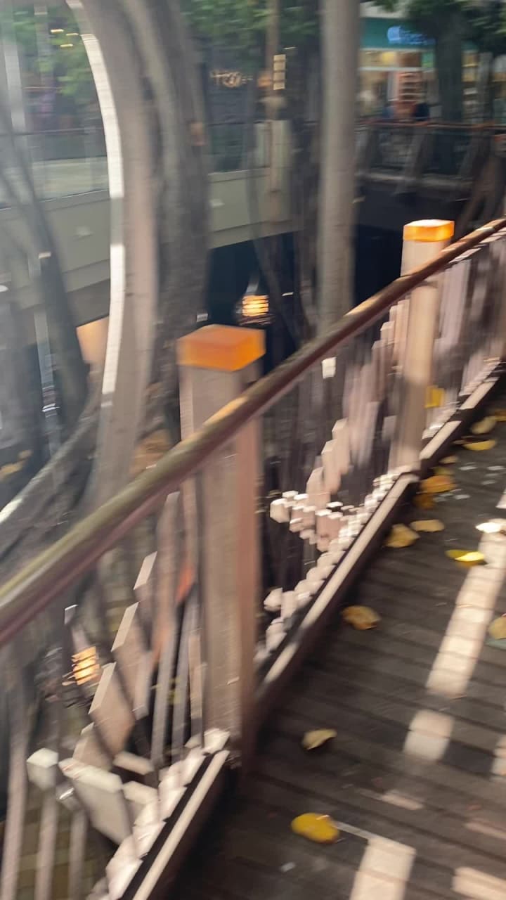 Video review of International Market Place