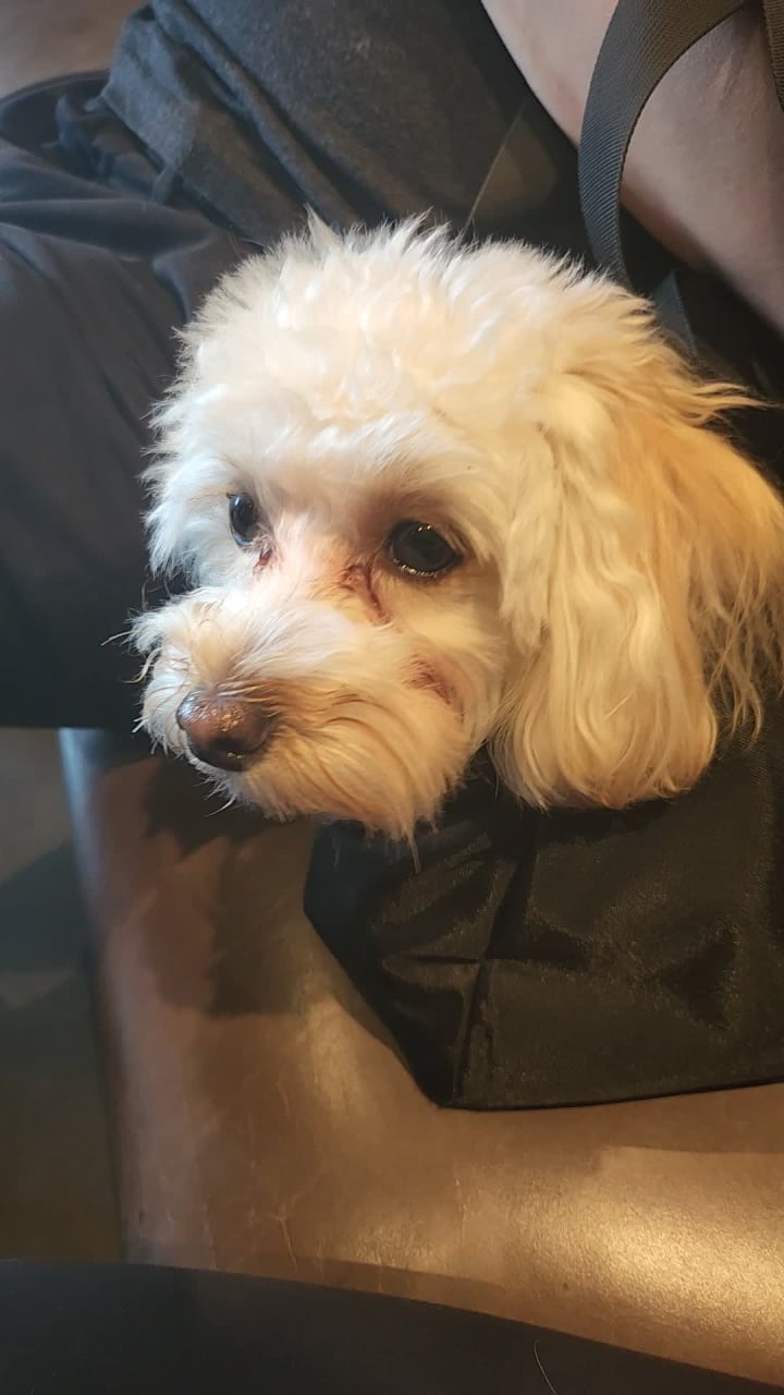 Video review of Starbucks