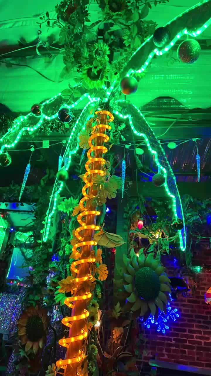 Video review of Silk City