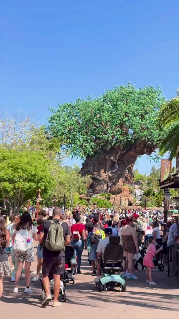Disney's Animal Kingdom