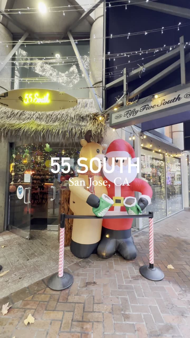 Video review of 55 South