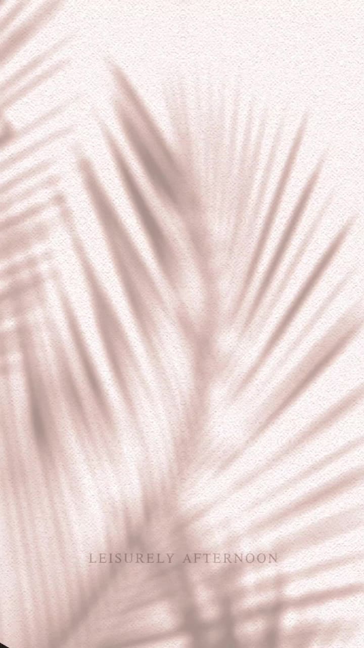 THE WELL Kitchen + Table