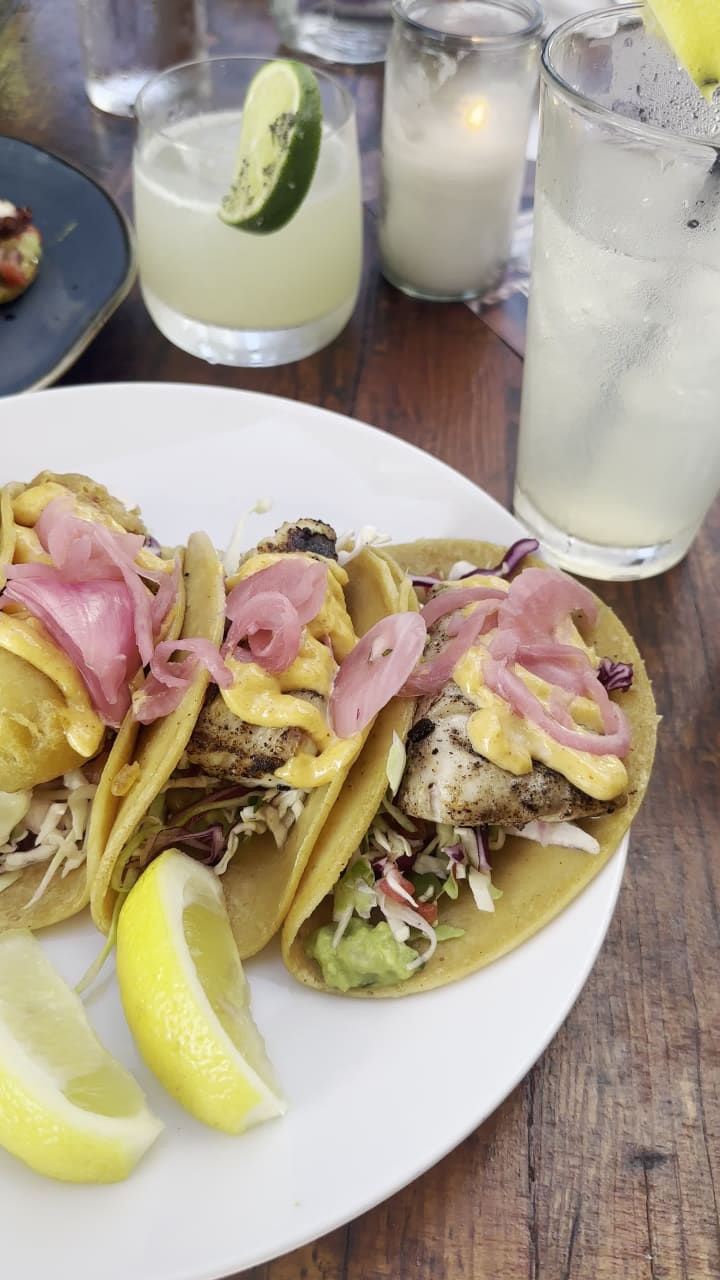 Video review of Rumfish y Vino