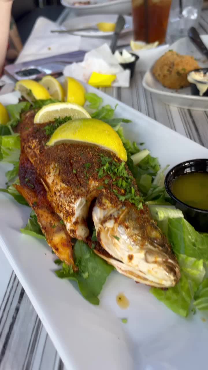 Video review of Acropolis Greek Taverna