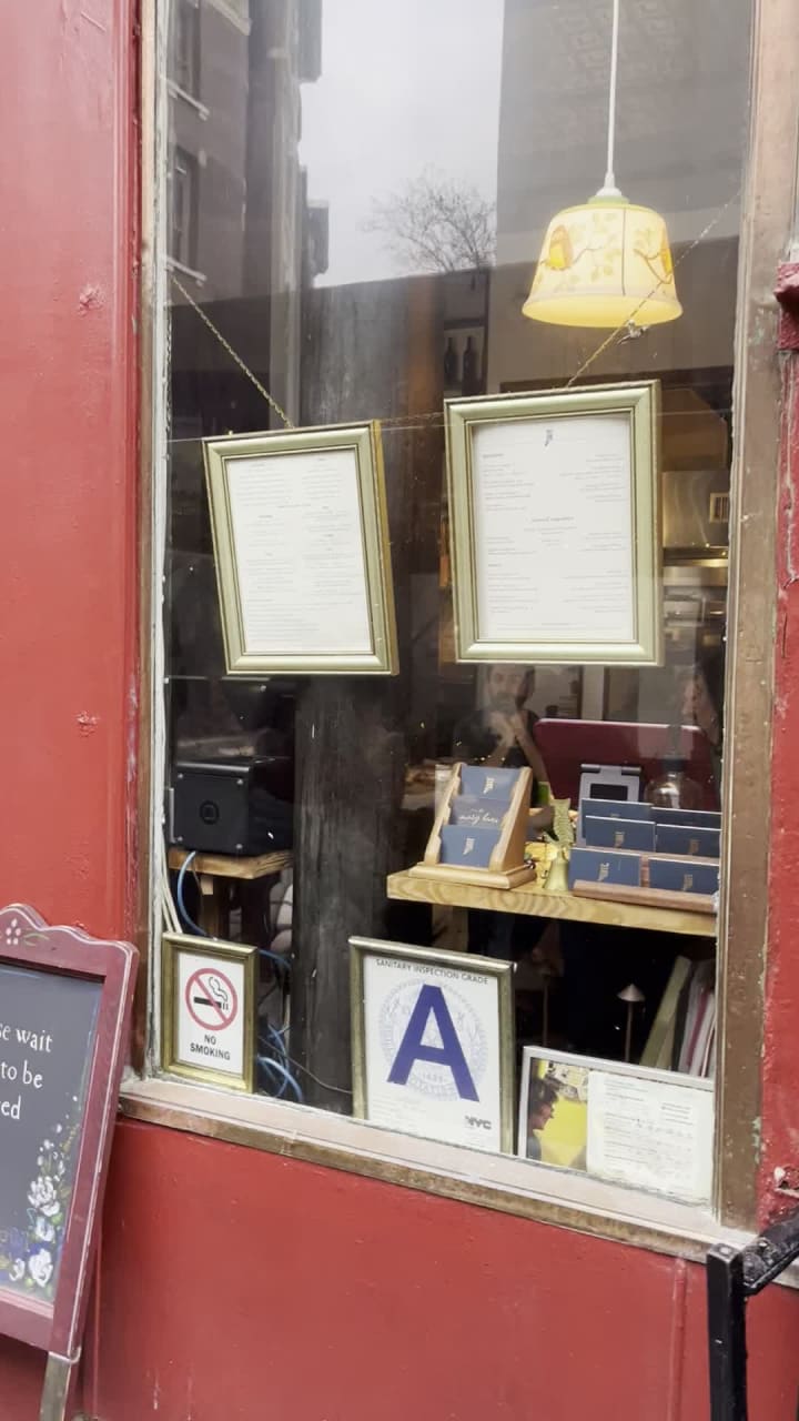 Video review of Little Owl