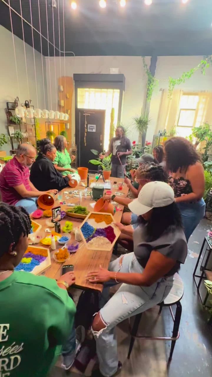 Energy Gardens Terrariums