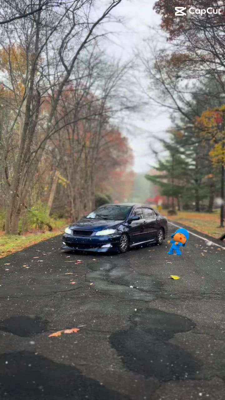 Video review of Springdale Diner