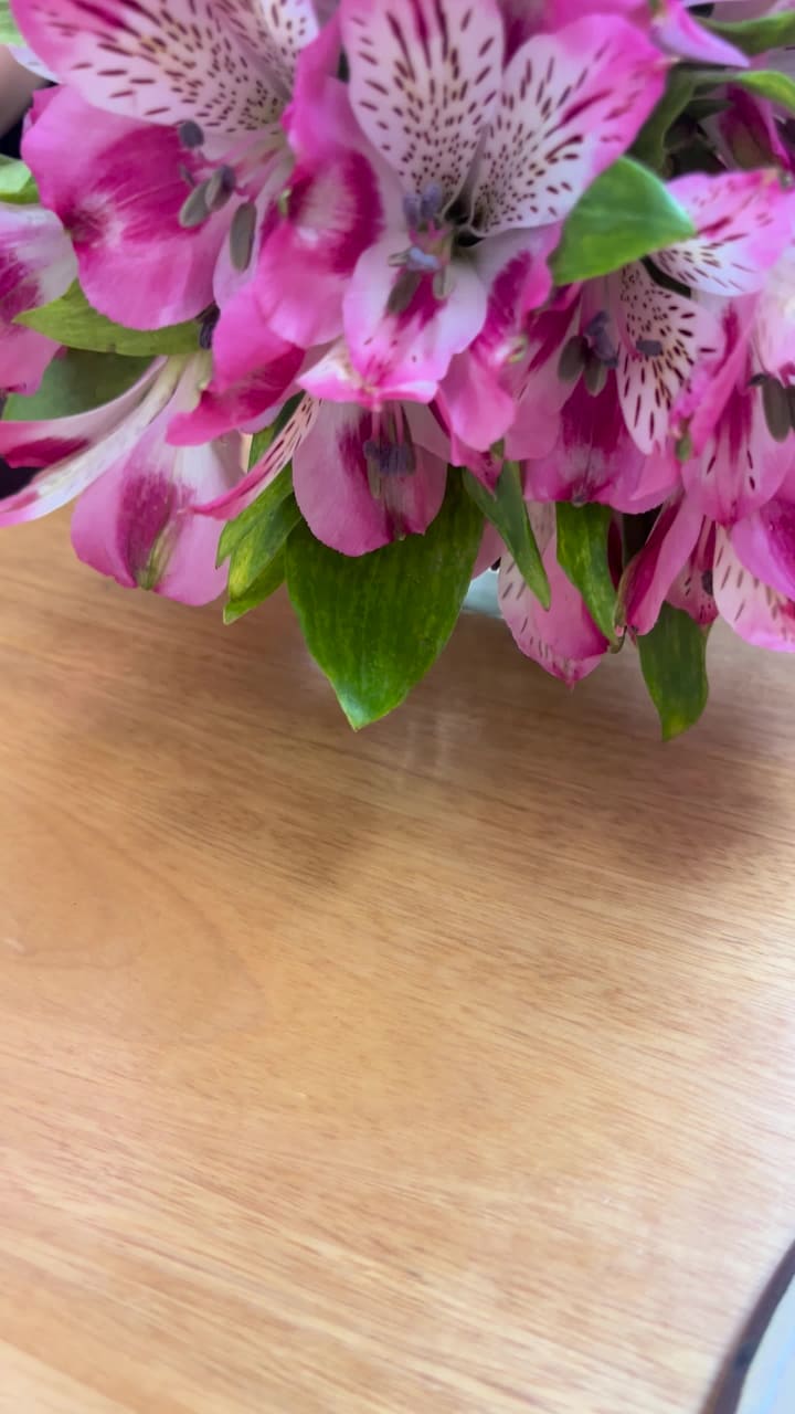 Video review of Arbol Del Pan