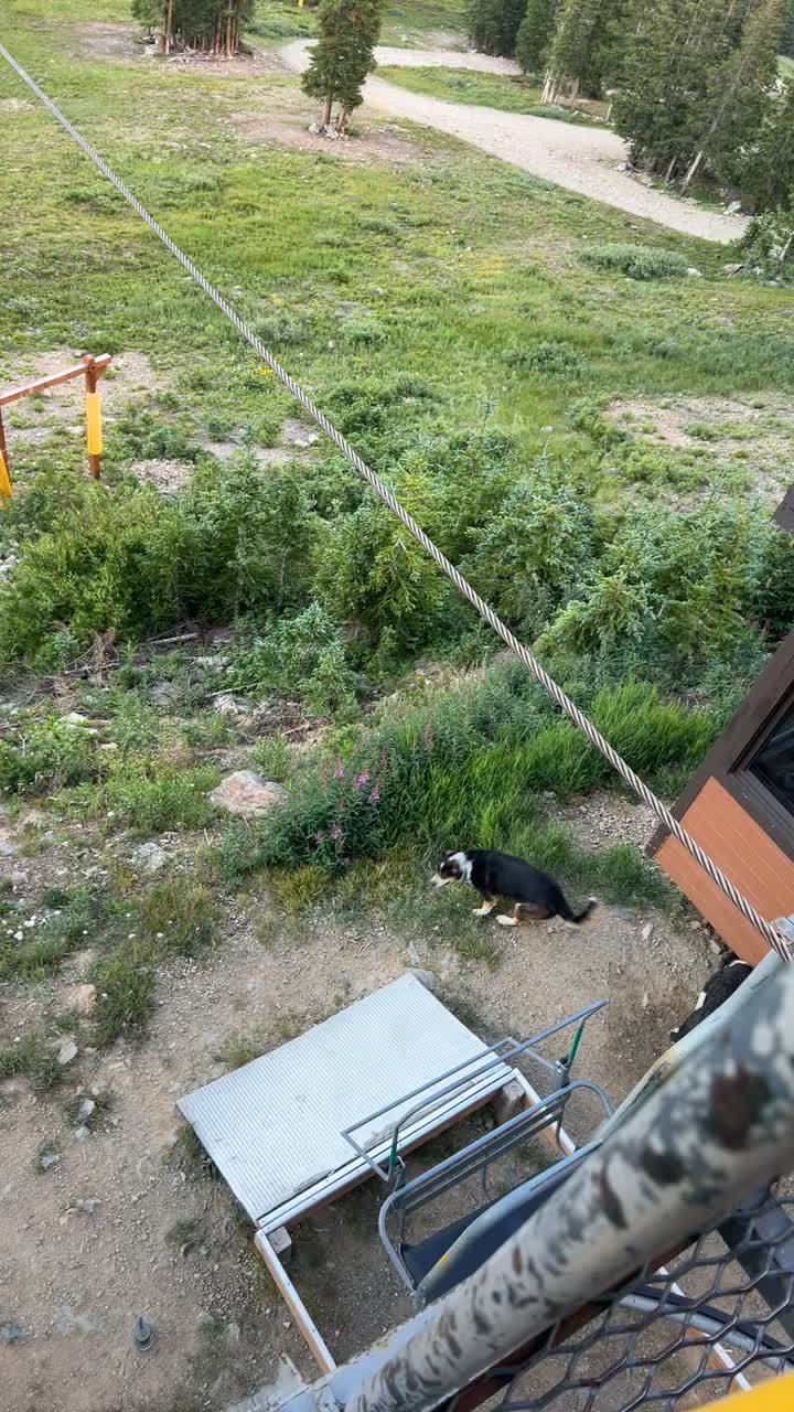 Breckenridge Ski Resort Ski Conditions