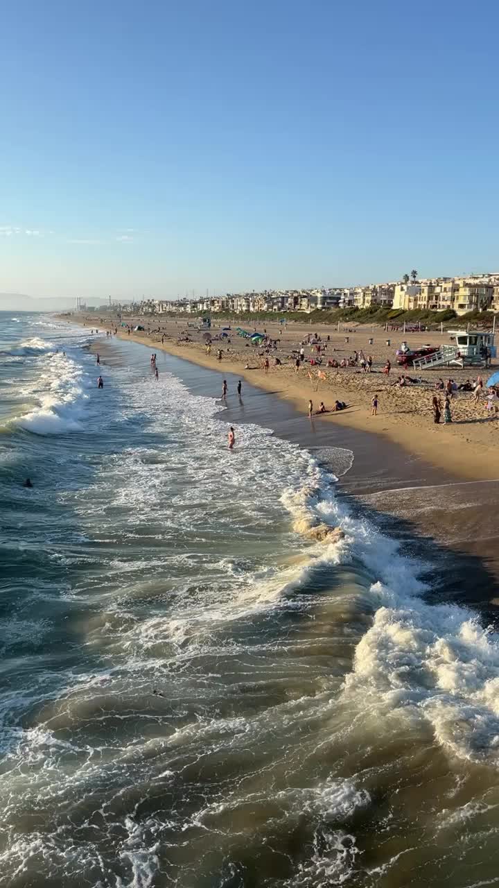 Video review of Manhattan Pizzeria